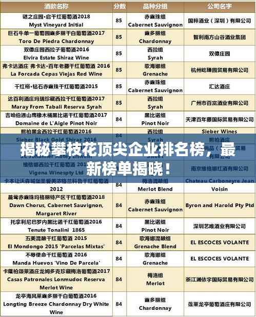 揭秘攀枝花頂尖企業排名榜，最新榜單揭曉！