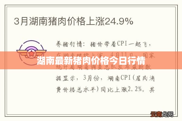 湖南最新豬肉價格今日行情