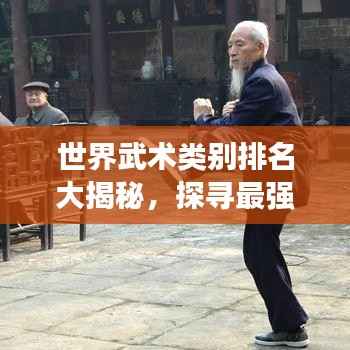 世界武術(shù)類別排名大揭秘，探尋最強(qiáng)武術(shù)流派！