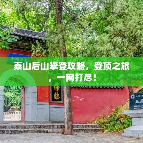 泰山后山攀登攻略，登頂之旅，一網打盡！