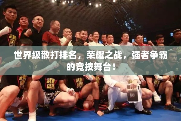 世界級散打排名，榮耀之戰(zhàn)，強(qiáng)者爭霸的競技舞臺(tái)！