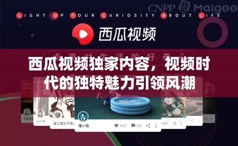西瓜視頻獨家內容，視頻時代的獨特魅力引領風潮
