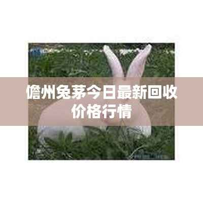 儋州兔茅今日最新回收價格行情