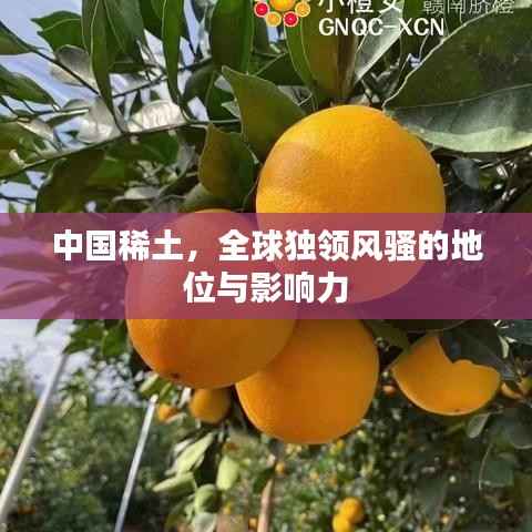 中國稀土，全球獨領風騷的地位與影響力