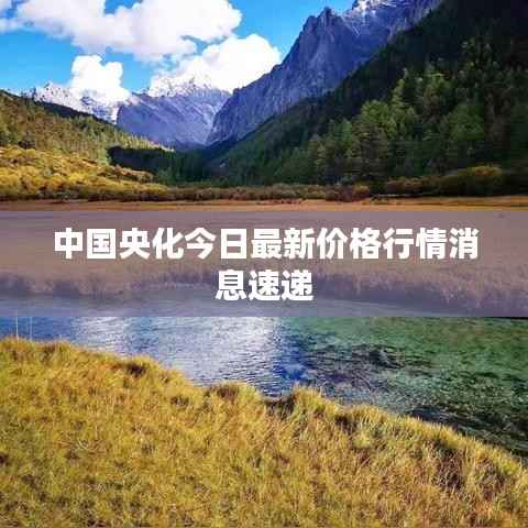 飛揚(yáng)撥扈 第3頁