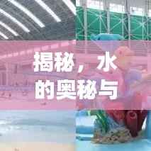 揭秘，水的奧秘與未知探索之旅