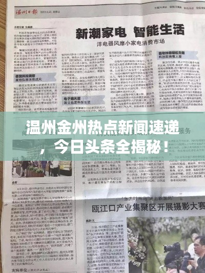 溫州金州熱點(diǎn)新聞速遞，今日頭條全揭秘！
