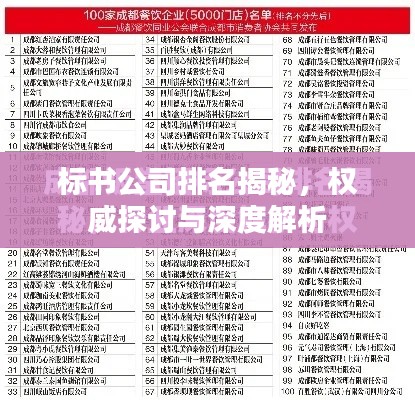 標書公司排名揭秘，權威探討與深度解析