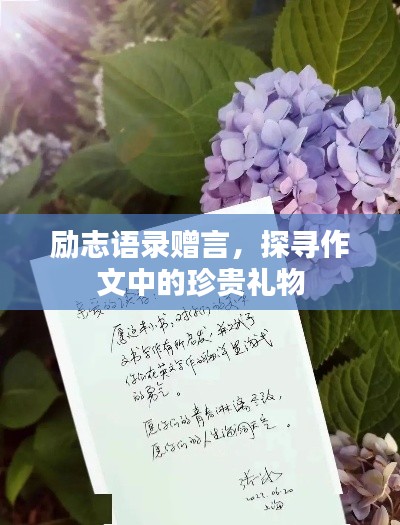 勵志語錄贈言，探尋作文中的珍貴禮物