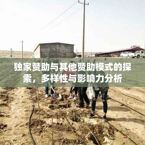 獨家贊助與其他贊助模式的探索，多樣性與影響力分析