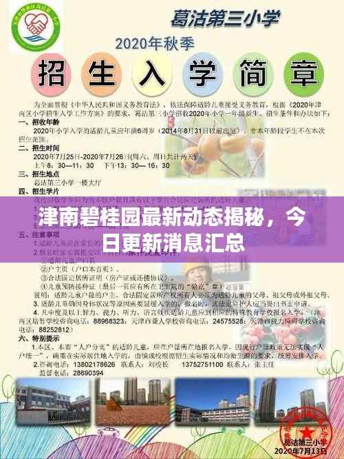 津南碧桂園最新動態揭秘，今日更新消息匯總