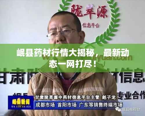 岷縣藥材行情大揭秘，最新動態一網打盡！