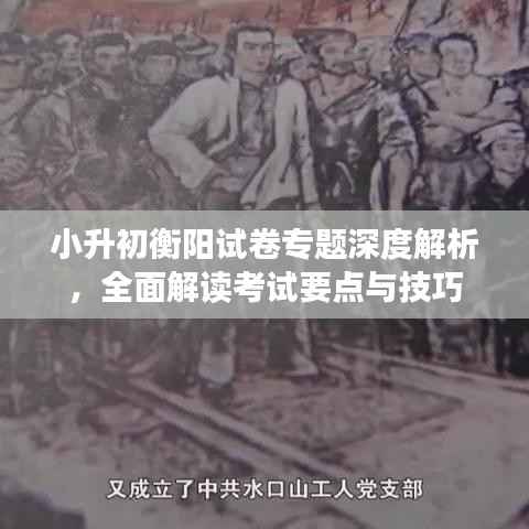 小升初衡陽(yáng)試卷專(zhuān)題深度解析，全面解讀考試要點(diǎn)與技巧