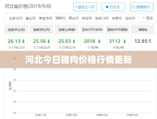 河北今日豬肉價格行情更新