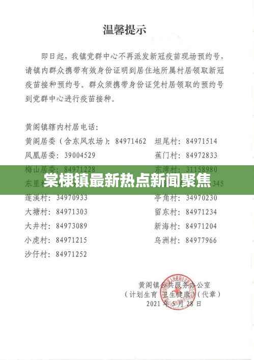 棠棣鎮最新熱點新聞聚焦