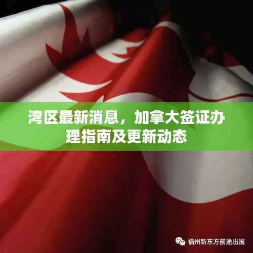 灣區最新消息，加拿大簽證辦理指南及更新動態