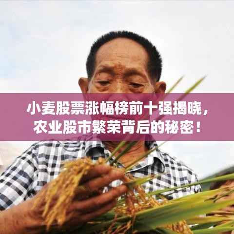 小麥股票漲幅榜前十強揭曉，農(nóng)業(yè)股市繁榮背后的秘密！