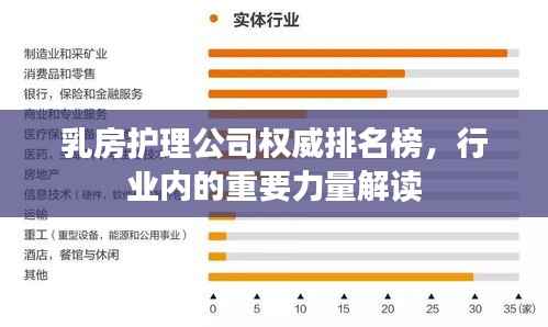 乳房護理公司權威排名榜，行業內的重要力量解讀