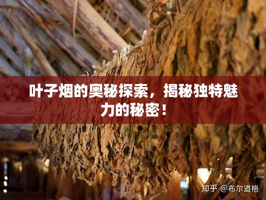 葉子煙的奧秘探索，揭秘獨特魅力的秘密！