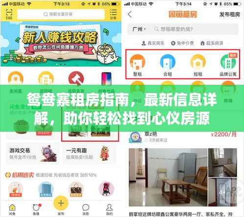 鴛鴦寨租房指南，最新信息詳解，助你輕松找到心儀房源