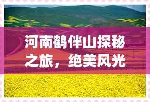 河南鶴伴山探秘之旅，絕美風光與深度體驗攻略