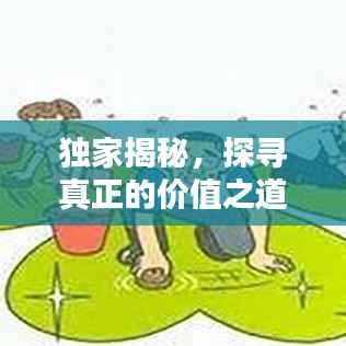 獨家揭秘，探尋真正的價值之道
