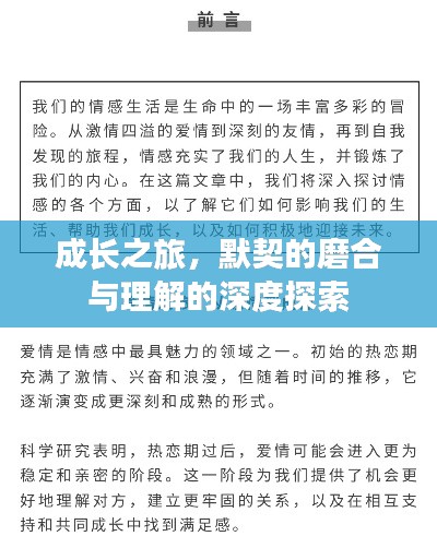 成長之旅，默契的磨合與理解的深度探索