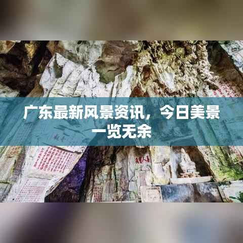 廣東最新風(fēng)景資訊，今日美景一覽無余