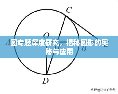 圓專題深度研究，揭秘圓形的奧秘與應用