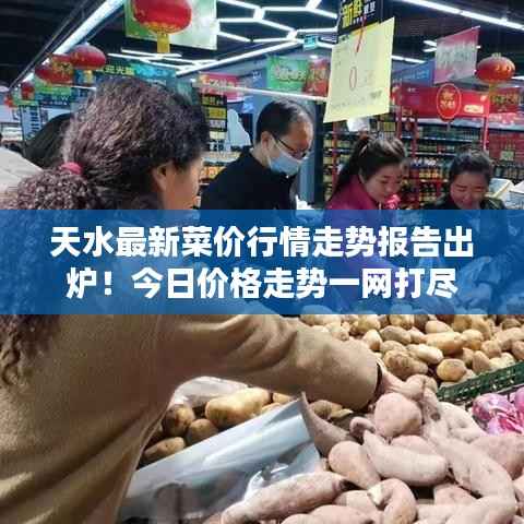 天水最新菜價行情走勢報告出爐！今日價格走勢一網打盡