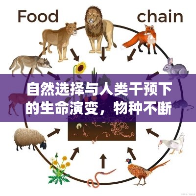 自然選擇與人類干預下的生命演變，物種不斷進化的奧秘探索