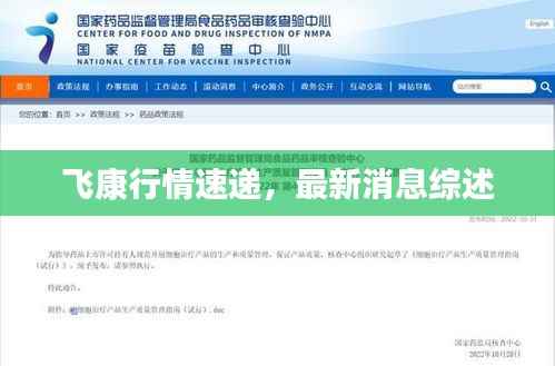 飛康行情速遞，最新消息綜述