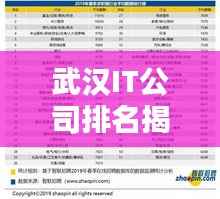 武漢IT公司排名揭秘，十大領先企業榜單