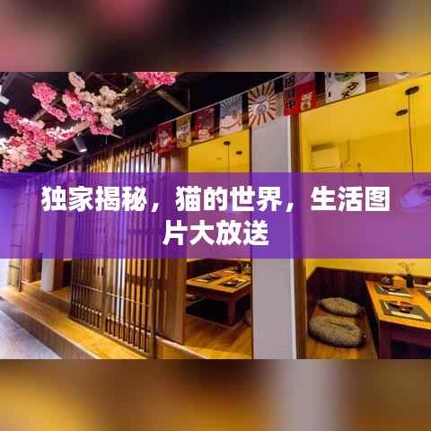 貴出賤收 第4頁(yè)