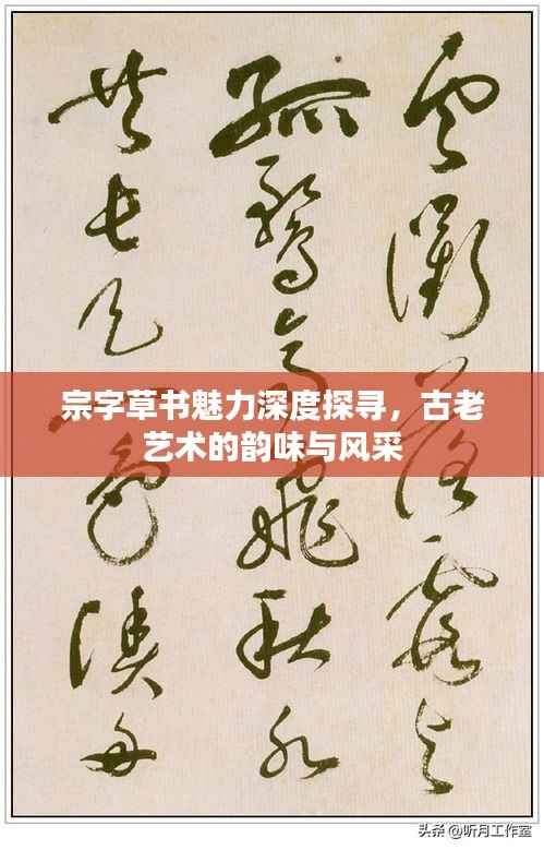 宗字草書魅力深度探尋，古老藝術的韻味與風采