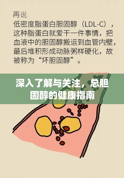 深入了解與關注，總膽固醇的健康指南