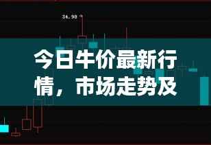今日牛價(jià)最新行情，市場(chǎng)走勢(shì)及影響因素深度解析