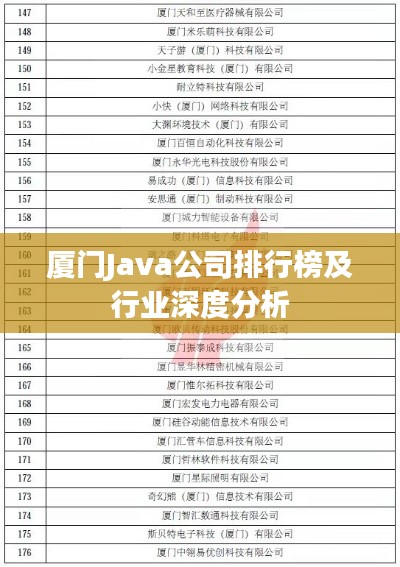 廈門Java公司排行榜及行業深度分析