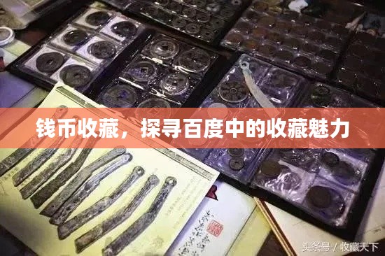 錢幣收藏，探尋百度中的收藏魅力