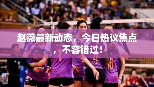 趙薇最新動態，今日熱議焦點，不容錯過！