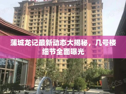 蒲城龍記最新動(dòng)態(tài)大揭秘，幾號(hào)樓細(xì)節(jié)全面曝光