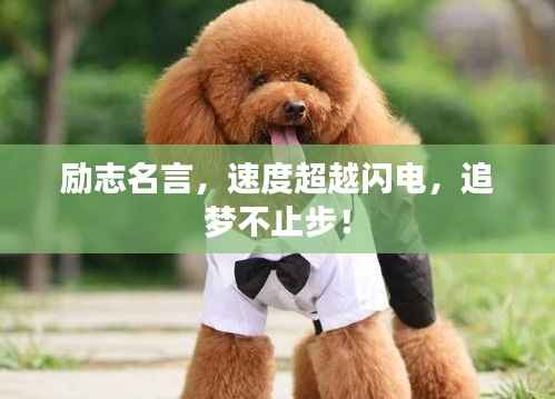 勵志名言，速度超越閃電，追夢不止步！