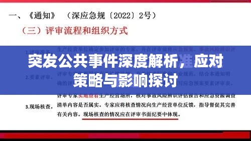 突發公共事件深度解析，應對策略與影響探討