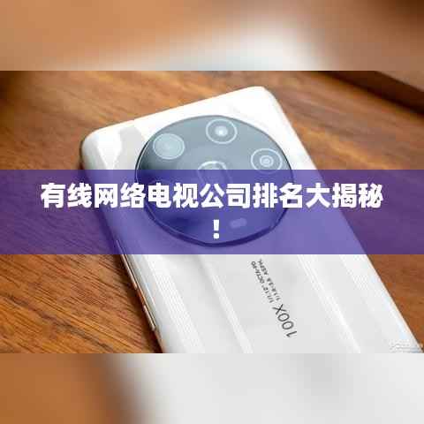 有線網(wǎng)絡(luò)電視公司排名大揭秘！