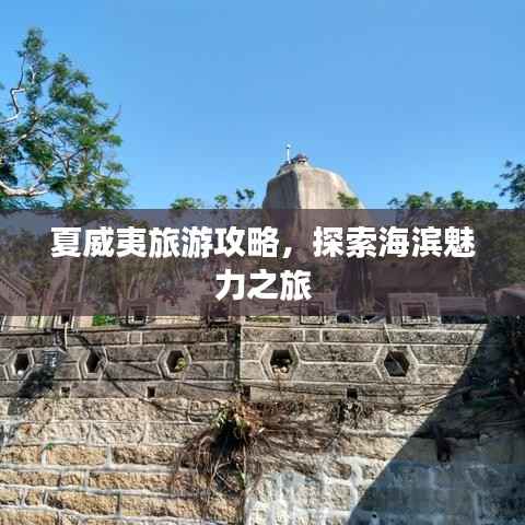 夏威夷旅游攻略，探索海濱魅力之旅