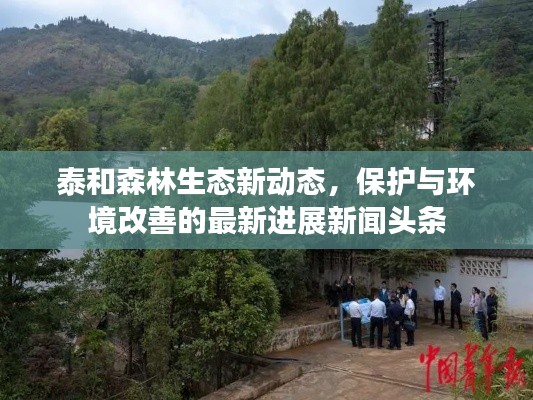 泰和森林生態新動態，保護與環境改善的最新進展新聞頭條