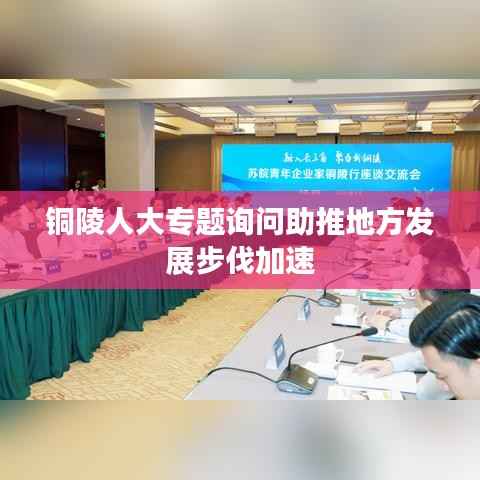 銅陵人大專題詢問助推地方發展步伐加速