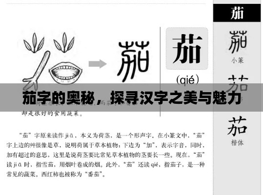 茄字的奧秘，探尋漢字之美與魅力