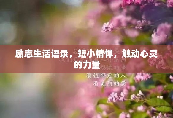 勵志生活語錄，短小精悍，觸動心靈的力量