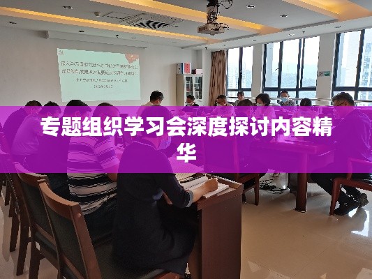 專題組織學(xué)習(xí)會(huì)深度探討內(nèi)容精華
